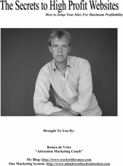 Product picture The Secrets to a High Profit Website